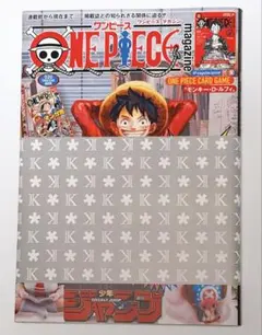 【新品未開封】ワンピースマガジン 20号 ルフィプロモ付き