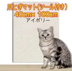 Item thumbnail for item 967f0d88-ed47-484f-b6d6-8f613458b47c