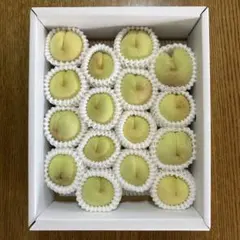 岡山産　白桃　冬桃　16玉