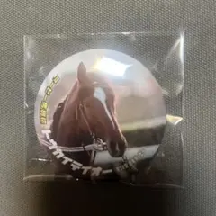 ダービー馬 列伝くじ 缶バッジ トウカイテイオー