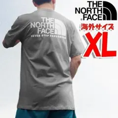 ノースフェイス バックプリント Tシャツ グレー 海外XL 日本3L tb