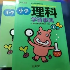 Item thumbnail for item 3c05f294-76dc-49ac-b416-eaec7942f442