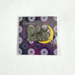 Item thumbnail for item 58fd644c-d7db-4264-ad2f-e04ed1c3f685