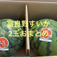 専用2箱 富良野すいか 秀品 Mサイズ 2玉 富良野すいか 秀品 Mサイズ 2玉 - メルカリ
