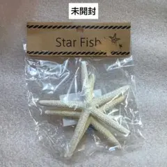 ①インテリア・ヒトデ・スターフィッシュ2個入　未開封