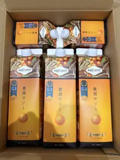 豊潤サジー 1000ml×3本＋300ml×2本 計5本セット
