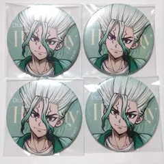 Dr.STONE mixx garden BIGマット缶バッジ 石神千空 - メルカリ