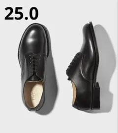 Item thumbnail for item 0d24b873-8151-41b5-9d90-71f2a0e6ca64