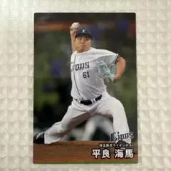 2026年 カルビープロ野球チップスカード