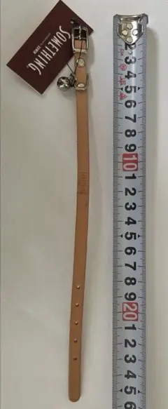 Item thumbnail for item df813c87-1248-4ddd-9d70-509642044775