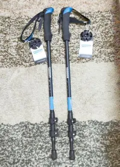 Item thumbnail for item 226aa4ca-9880-49de-a119-1f42700f7f2f