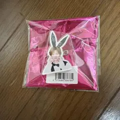 RINDO SHOP らぶしっく　さつき　アクリルバッジ