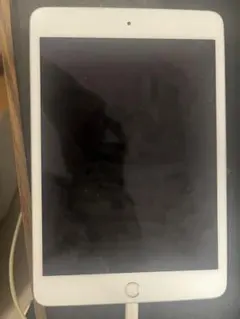 Apple iPad mini5 シルバー 本体