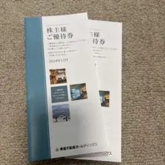 東急不動産ホールディングス 株主優待券 2024年12月　2冊セット