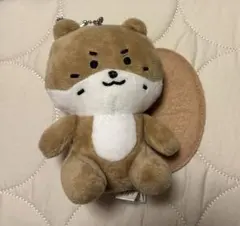 2026年最新】ディノ ぬいぐるみ seventeenの人気アイテム - メルカリ