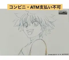 HUNTER×HUNTER 購入特典 ランダム アニメ原画　カード　キルア