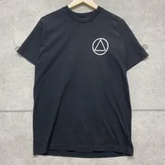 美品 Polygon Window Aphex twin Tシャツ L 黒 - メルカリ