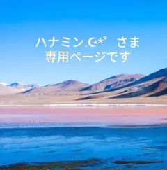 ハナミン.☪*゜さま　専用ですのサムネイル
