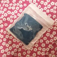 Cuip 吸水ショーツ　 Lサイズ　チーカス　クワイエットシーカラー