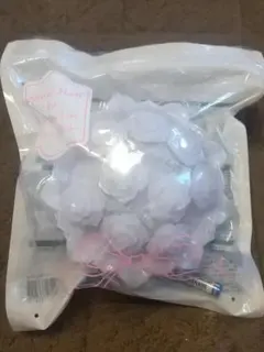 SnowMan Snow World 国立 バラ ペンライト