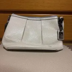 pelle borsa バッグのサムネイル
