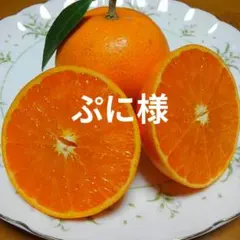 ぷに様専用　　　せとか