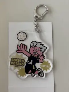 ハイキュー‼︎ トレーディングアクリルキーホルダー 木兎光太郎