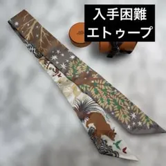 入手困難カラー❤︎エルメス　ツイリー　オルフェウス エトゥープ 2026年最新】オルフェウスの魅力に誘われて ツイリーの人気アイテム