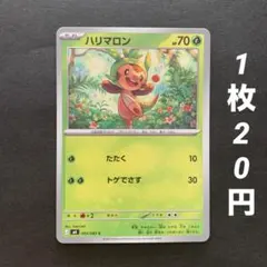 【残9枚】ハリマロン たたく トゲでさす ニンジャスピナーのサムネイル