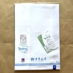 Item thumbnail for item 1245bfa6-05e6-47d6-8a28-5a7c2e4ed4ab