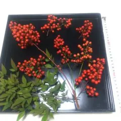 南天の実8枝＋枝葉5 お正月飾り クリスマスリース しめ縄飾り材料