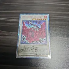 遊戯王　ブラックローズドラゴン　20thシークレットレア