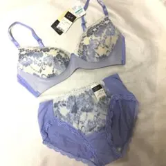 Item thumbnail for item 8c5d6c85-6a56-46fc-a69b-025527de3734