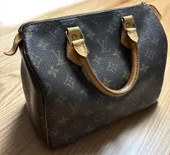 Louis Vuitton モノグラム スピーディ ハンドバッグ