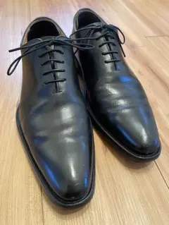 REGAL ストレートチップ 25cm 日本製 黒　ゴアテックス