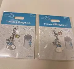 東京ディズニーシー・25周年　チャーム　ダッフィー＆シェリーメイ 2個セット