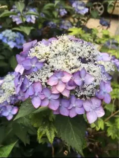 ちゅん様 リクエスト 4点 まとめ商品