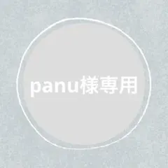 panu様 リクエスト 3点 まとめ商品