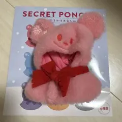 ディズニーストア　シークレットポンチョ　赤