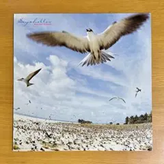 SEYCHELLES 高中正義 12インチレコード　LP SEYCHELLES 高中正義 12インチレコード LP