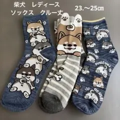 Item thumbnail for item 391c5112-cf76-4e83-9d1c-5a2c9d0c16a1