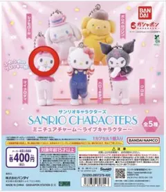 サンリオキャラクターズ マイメロディ ミニチャーム