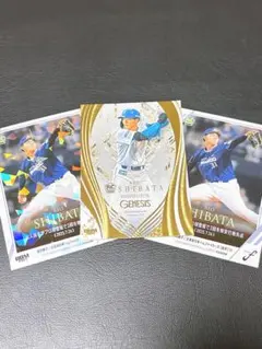 BBM 2025 fusion GENESIS 柴田獅子 レギュラーカードセット