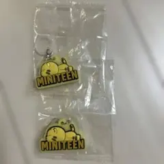 セブチ　ミニティーン　めじるしアクセサリー　ホシ　タムタム　seventeen