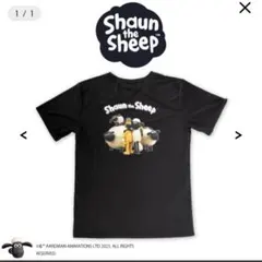 ひつじのショーン Tシャツ ブラック
