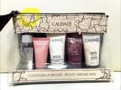 【新品未開封】コーダリー CAUDALIE トライアル 5点セット