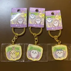 【ちいかわ】　ご当地キーホルダー　あしかがフラワーパーク　藤の花　栃木　足利