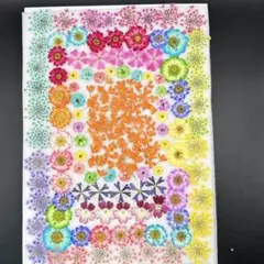 Item thumbnail for item 9ed51192-c139-4a22-9895-2977e0d11ff7