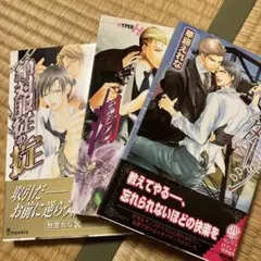 bl サウダージ　他