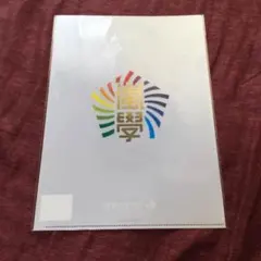 嵐 クリアファイル